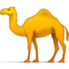 Camel Power