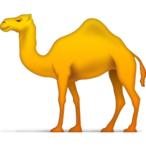 Camel Power