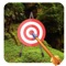 Hero Target Bow is to shoot a Target board with bow and arrow and make a great high score