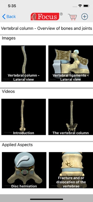 Back and Spinal cord(圖3)-速報App