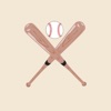 Baseball Stickers: Home Run!