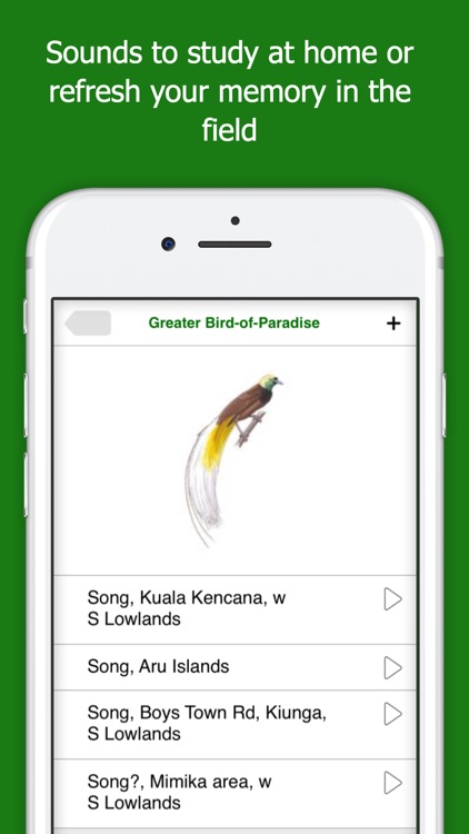 Birds of New Guinea screenshot-3