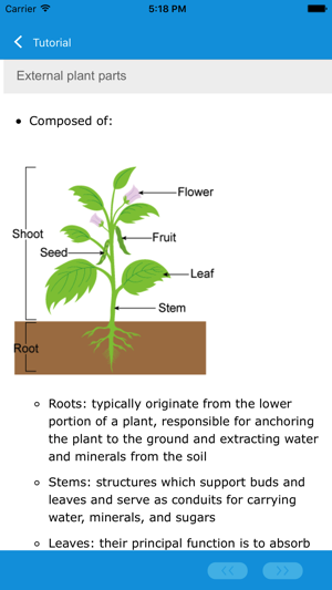 Learn Botany, Biology &Zoology(圖3)-速報App