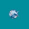 Diving Universe is the first 100% free app that allows you to keep your dive logs safely stored on the cloud so you can easily access you dive log data from any of your devices