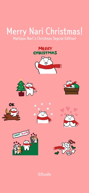 Maltipoo Nari - Christmas(圖1)-速報App