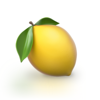 no app image