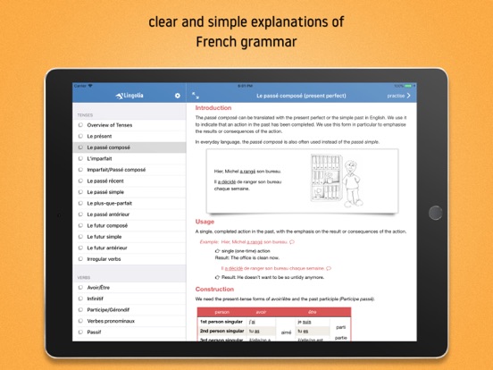 Lingolia French Grammar screenshot 2