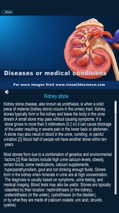 My Kidney Anatomy screenshot 4