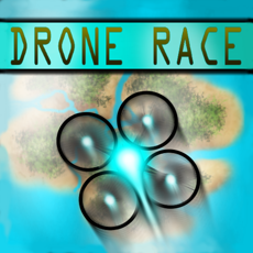 Activities of Drone Race