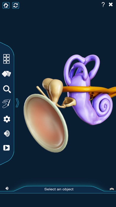 My Ear Anatomy screenshot 3