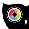 Icon Owl Vision