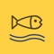 Fly Fishing Austria and Slovenia provides helpful information about the many local opportunities for fly-fishing