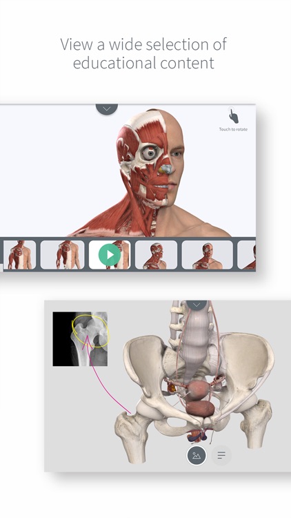 Complete Anatomy for iPhone screenshot-3
