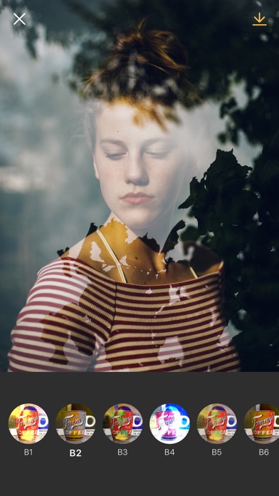 blend ma.基本信息