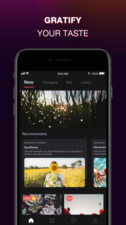 OPixels - wallpapers, photos screenshot-5