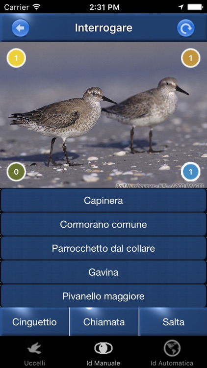 Canzoni d'uccelli, versi di richiamo degli uccelli screenshot-4