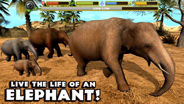 Elephant Simulator screenshot-0