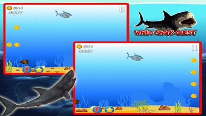 White Shark Quest screenshot 3