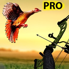 Activities of Pheasant Bow Hunting Pro