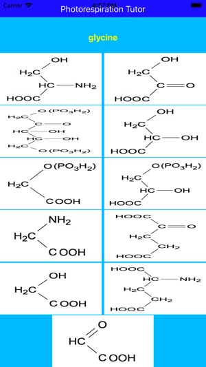 Photorespiration Tutor(圖2)-速報App