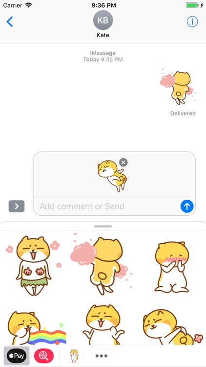 Humor Kitty Stickers