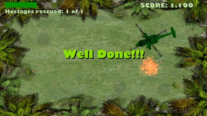 Jungle rescue missions Screenshot 5
