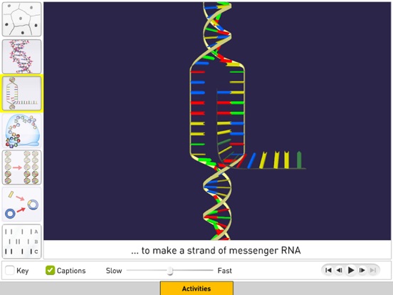 DNA from Sunflower Learning screenshot 3
