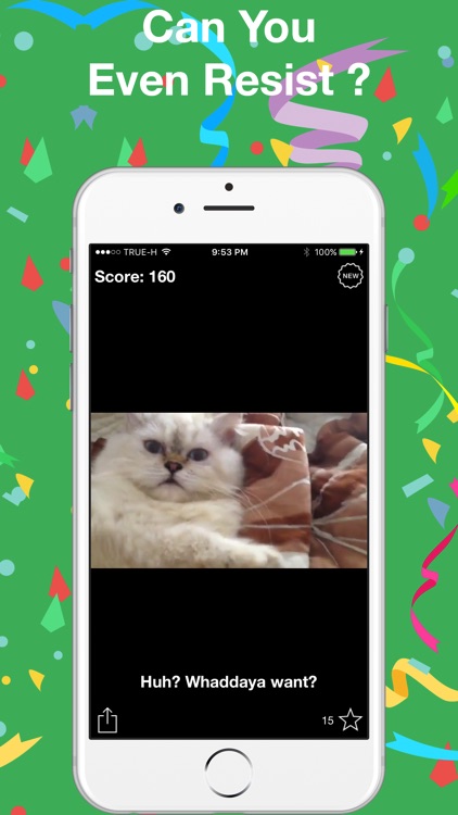 Try Not To Laugh - Cat Edition