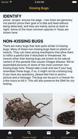 TAMU Kissing Bug(圖3)-速報App