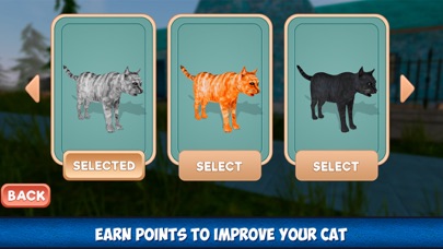 Home Kitty City Survival Sim screenshot 3