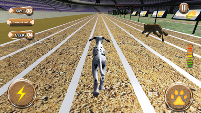 Greyhound Racing Tournament 2 screenshot 5