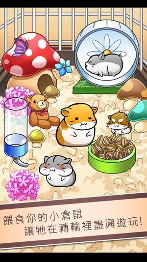 Hamster Life(圖2)-速報App