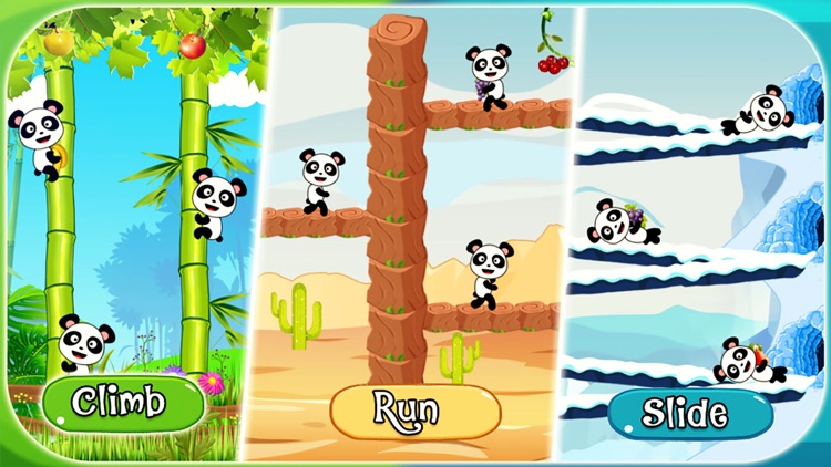 Hit The Panda - Knockdown Game screenshot-0