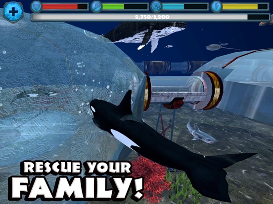 Orca Simulator для iPad