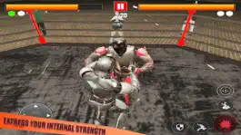 Game screenshot World Robot Fighting: Boxing C hack