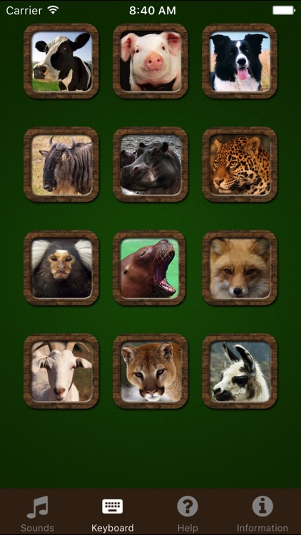 Animal Sounds.! by PXL APPS