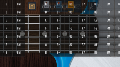 How to cancel & delete Simulator of the Real guitar from iphone & ipad 2