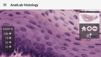 AnatLab Histology screenshot 3