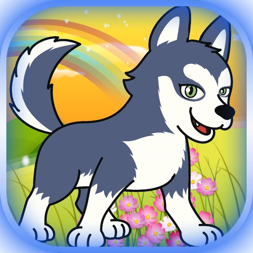 Husky Land Husky Land