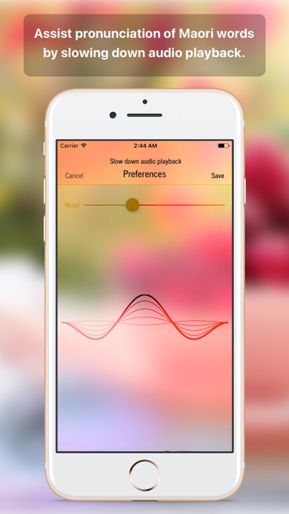 Maori word of the day screenshot-4