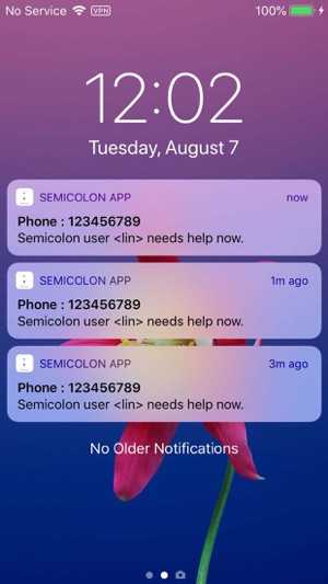 Semicolon App(圖3)-速報App