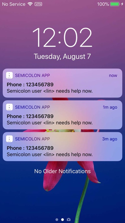 Semicolon App