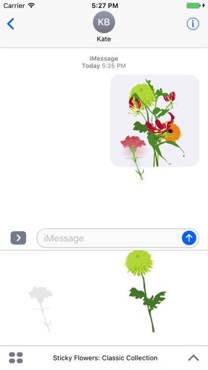 Sticky Flowers: Classic Set