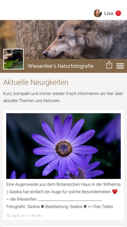 Wiesenfee's Naturfotografie