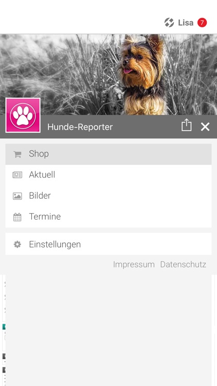 Hunde-Reporter