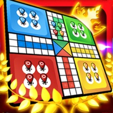 Activities of Ludo Crown