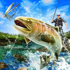 Activities of Fly Fishing 3D II