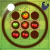Circle Fruit Touch 2