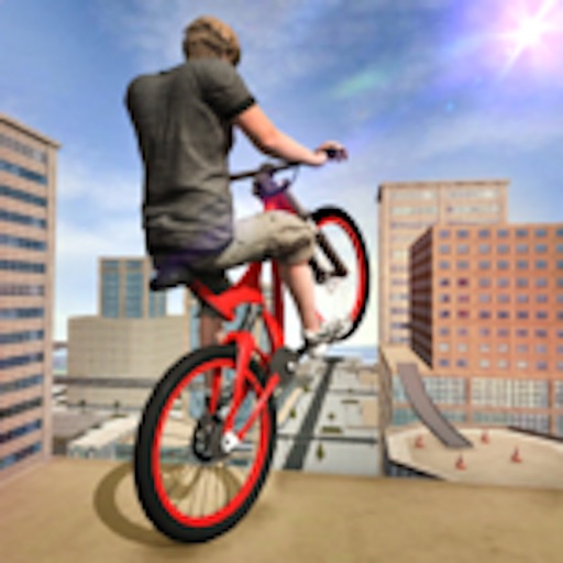Stunt Bike Simulator BMX 3D Icon