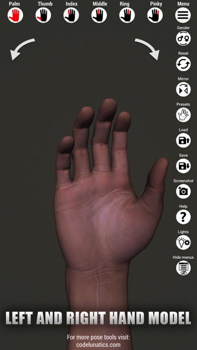 Manus - Hand reference for art screenshot 3